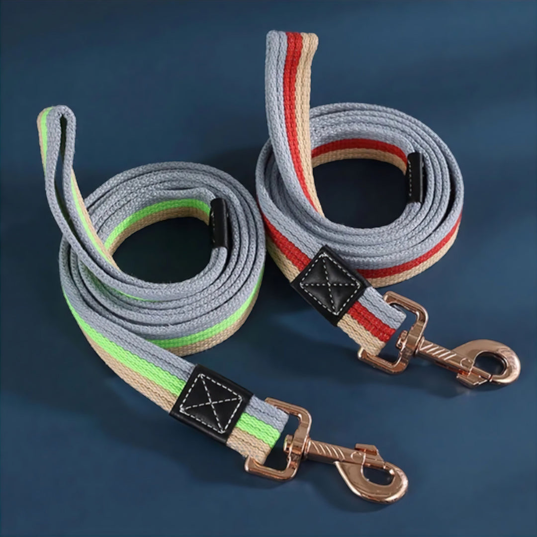 Bowlift Paws Dog Leash