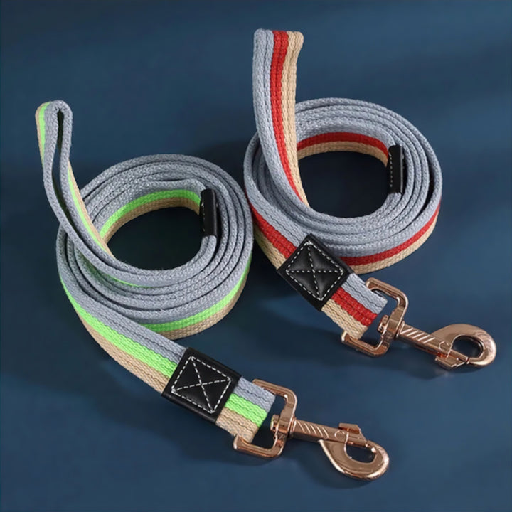 Bowlift Paws Dog Leash