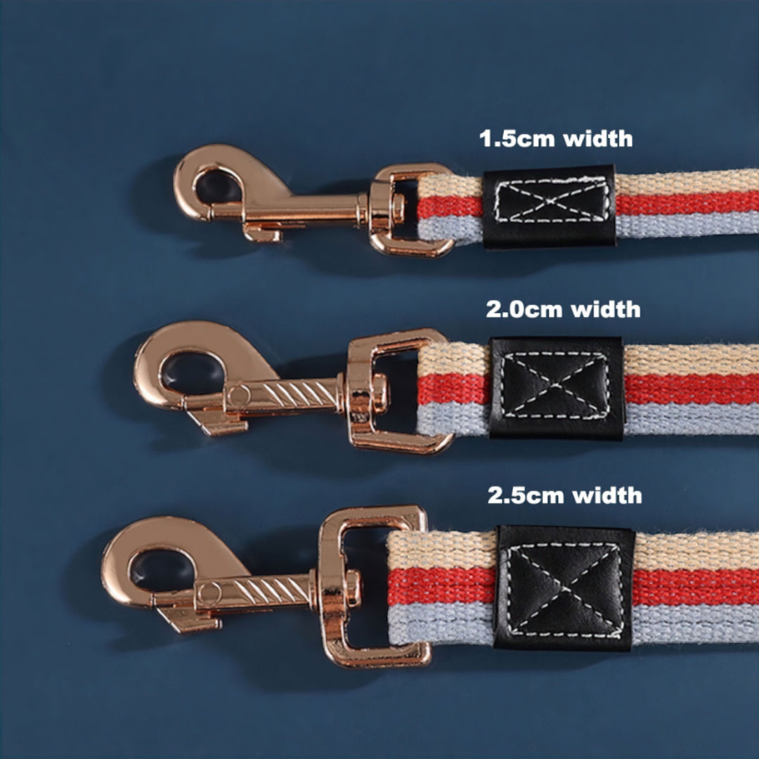 Bowlift Paws Dog Leash