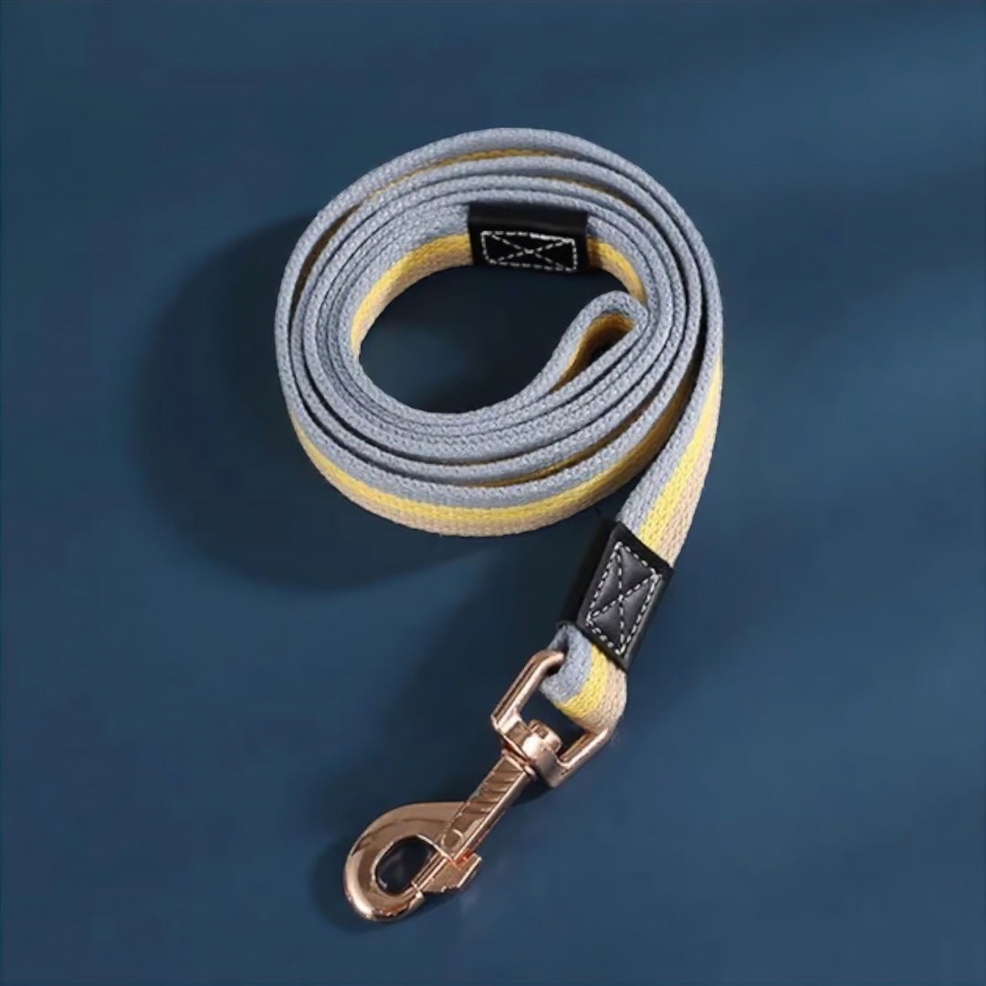 Bowlift Paws Dog Leash