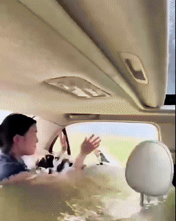 BowLift | Multifunctional Car Safety Hammer 2PCS