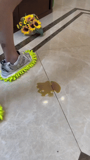 BowLift | Multi-Functional Lazy Mopping Shoes