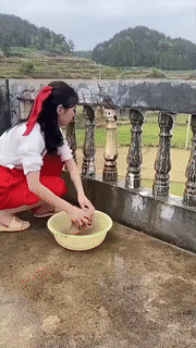 BowLift | Adjustable High Pressure Hose Nozzle