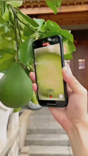 BowLift | Portable Mobile LED Microscope Lens