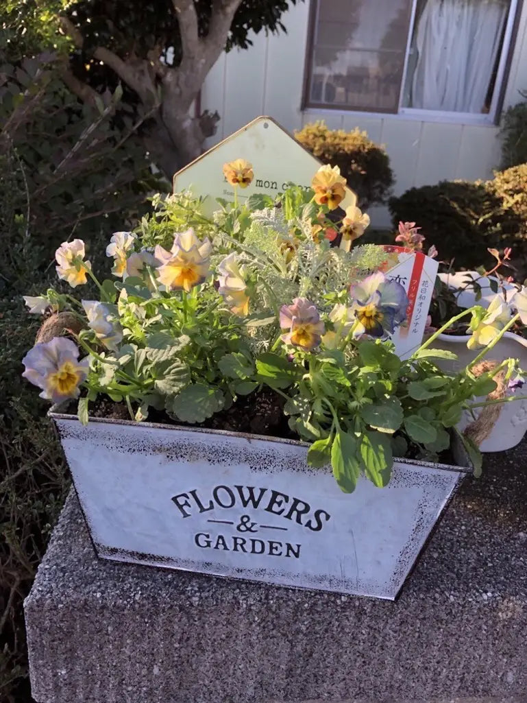 BowLift | Decorative flower and garden container made of metal with hemp rope handles