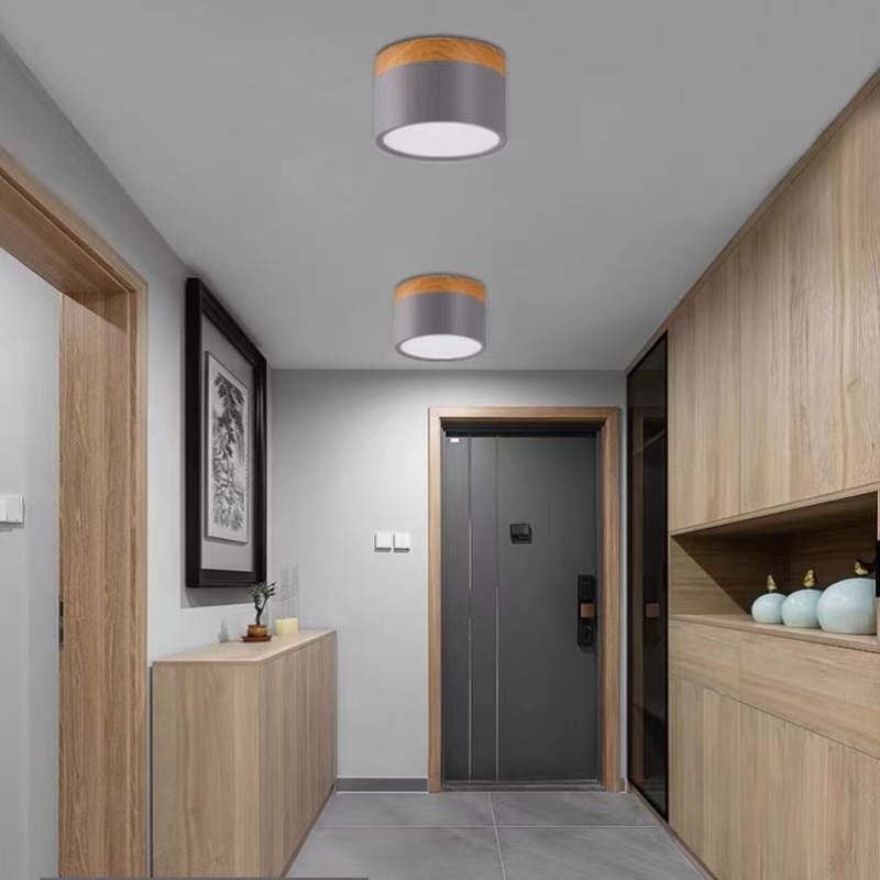 Morandi Style Modern LED Ceiling Lamp - LumiModo | Bowlift