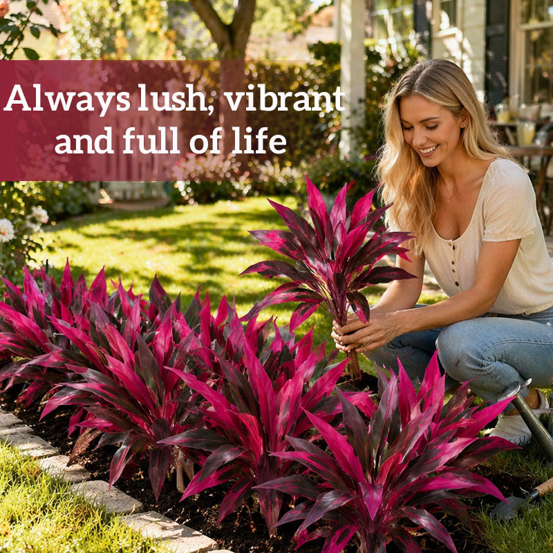 VerdoGlow — Vibrant freshness without effort that will transform your home forever | Bowlift
