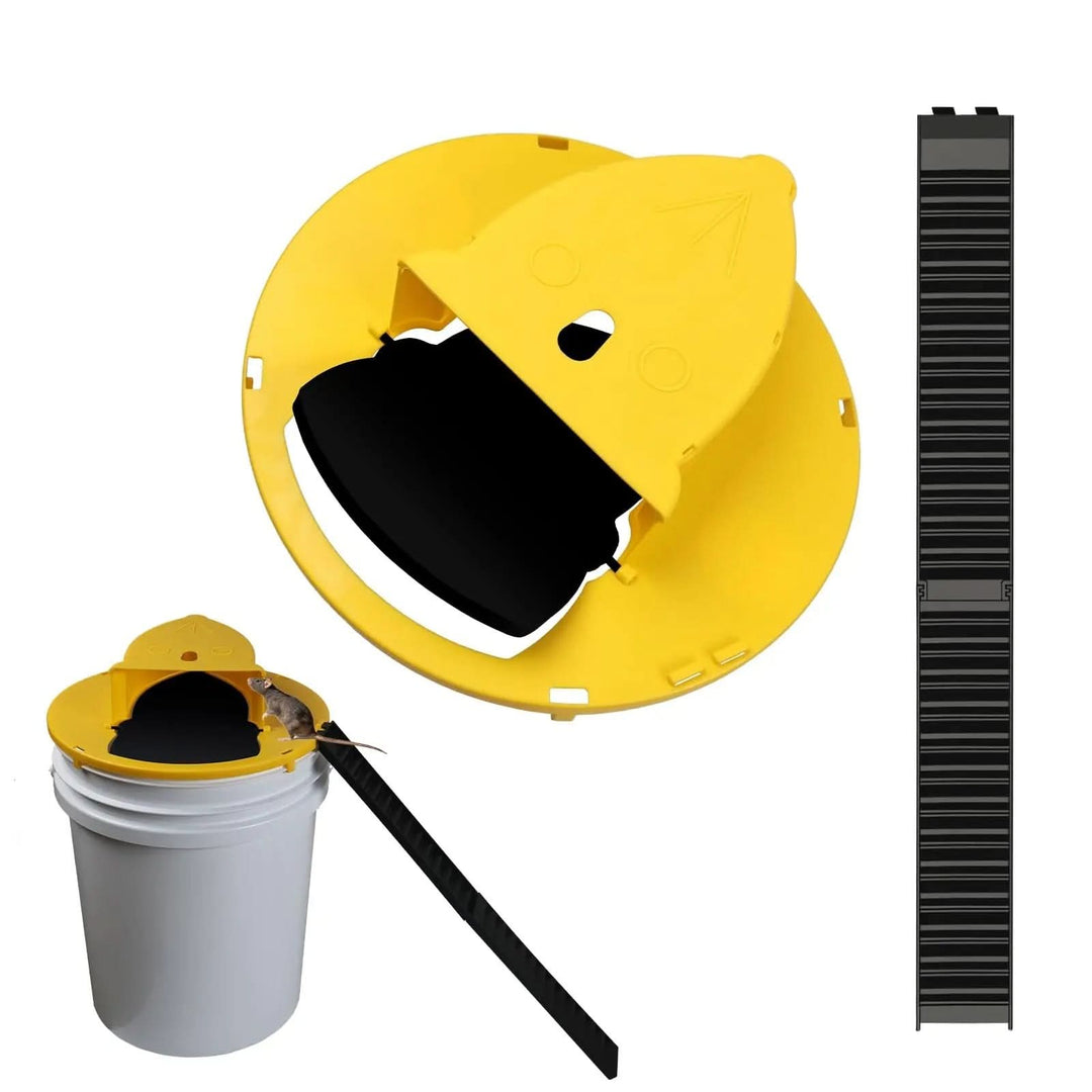 BowLift | SilentCatch Eco – Automatic Mousetrap without Killing