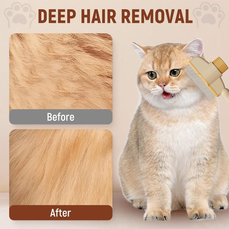 BowLift | FleaFree Fur-Friendly Defense