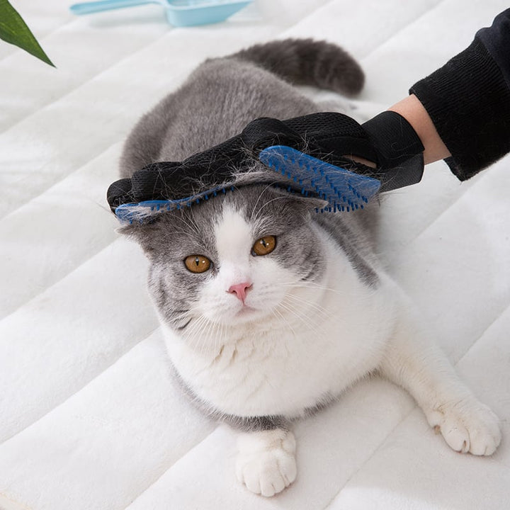 BowLift | Cat grooming glove for cats wool glove Pet Hair Deshedding Brush Comb Glove For Pet Dog Cleaning Massage Glove For Animal Sale