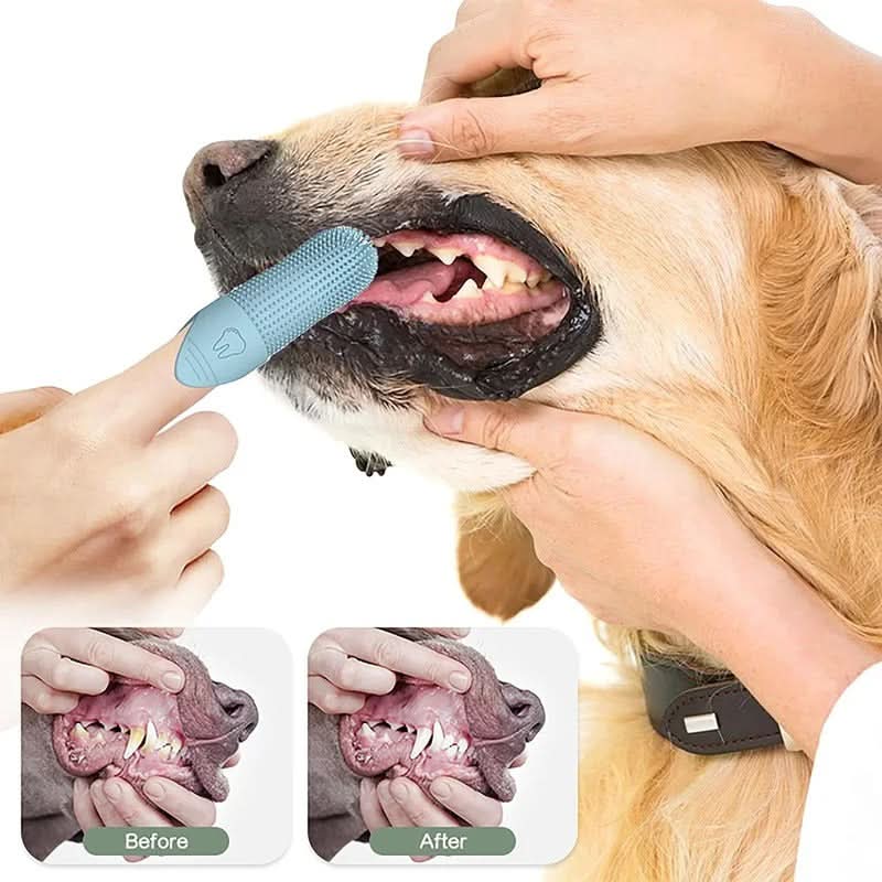 BowLift | 360° Finger Toothbrush for Dogs & Cats