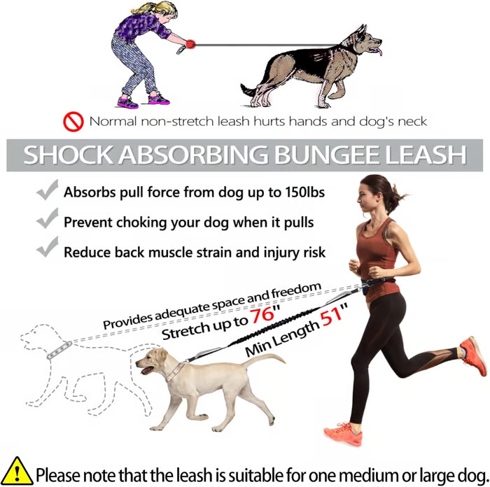 BowLift | PawsFree Pro – Enjoy stress-free walks with your dog