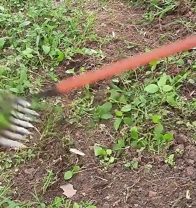 TuinGrijp Carbon Steel Weeding Rake for Garden Maintenance | Bowlift