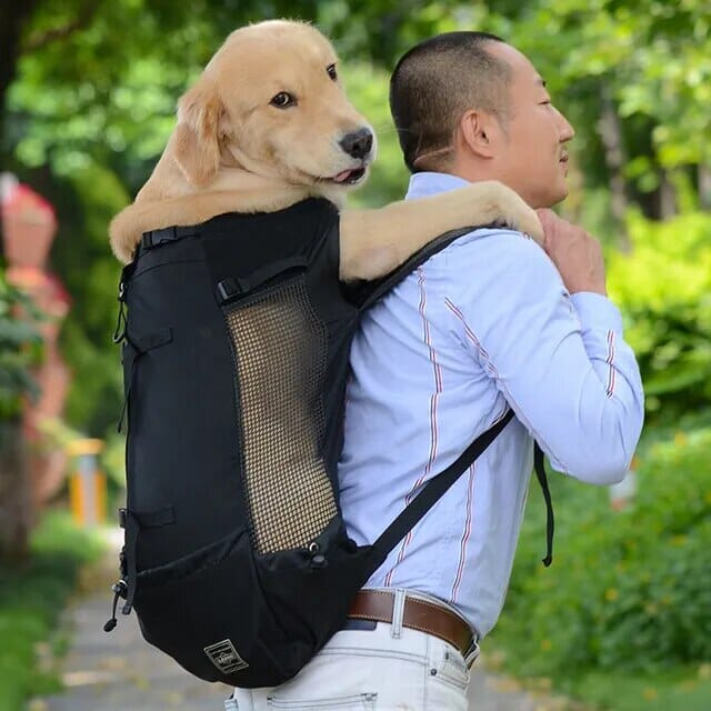 Bowlift Dog Travel Backpack