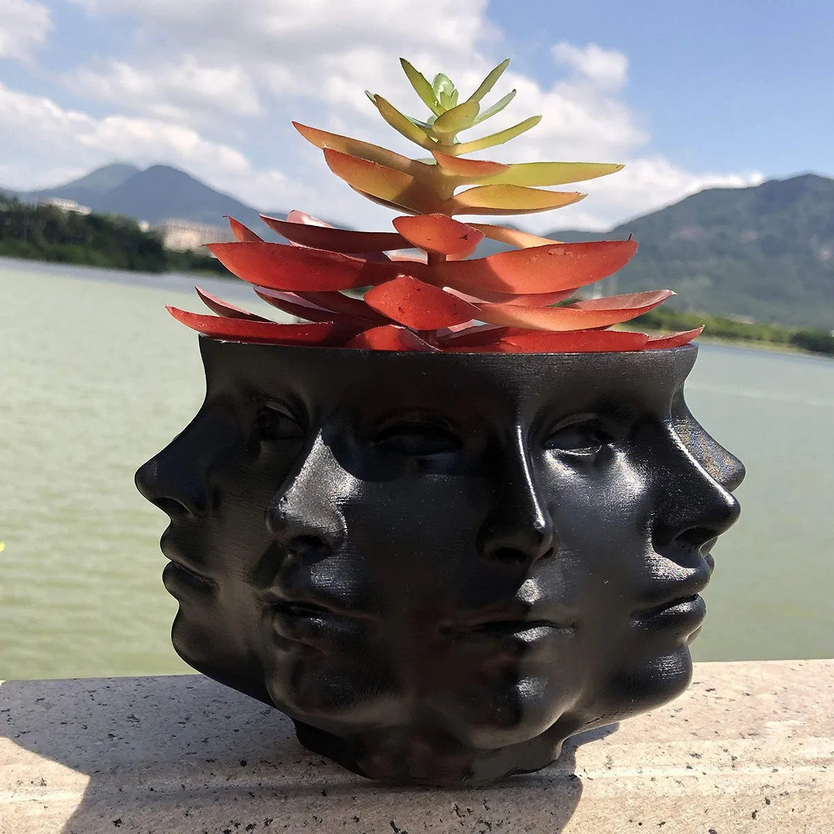 BowLift | FaceBloom 3D Face Planter