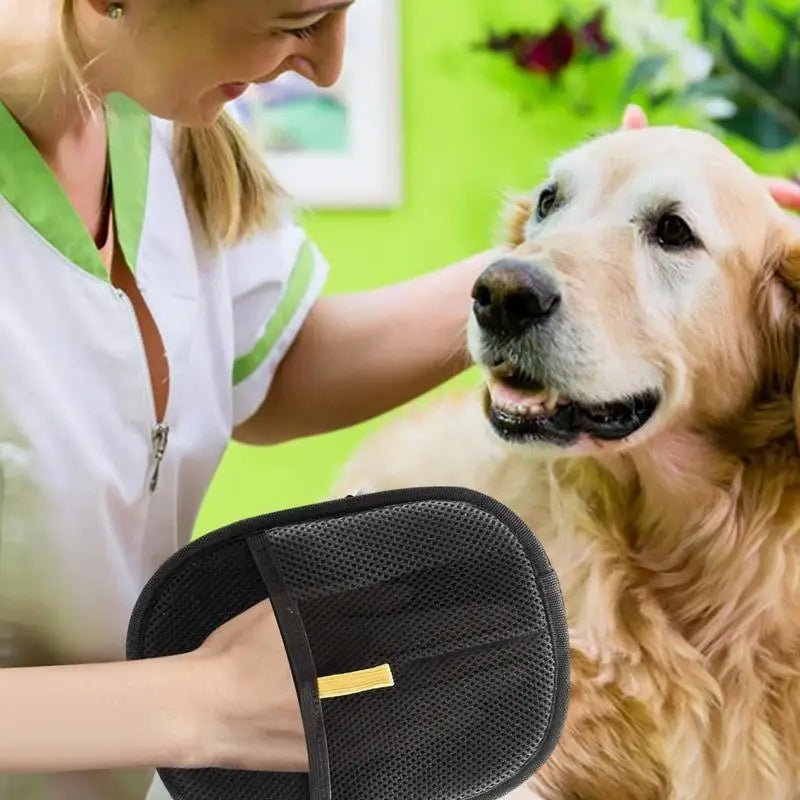 SilkPaw — Transforms annoying fur care into loving cuddle time | Bowlift