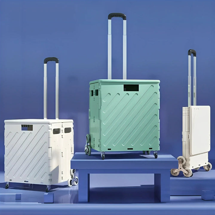 RamoraLift — Effortlessly master every step and enjoy back freedom | Bowlift