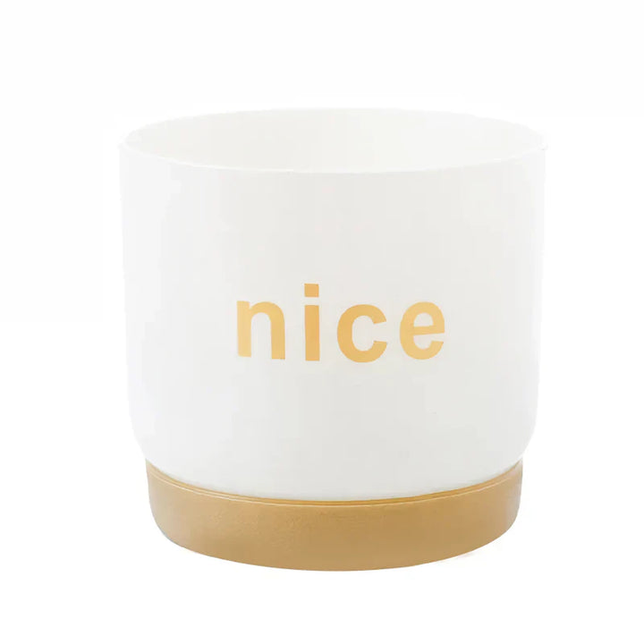 BowLift | Modern Self Watering Planters for Office and Home