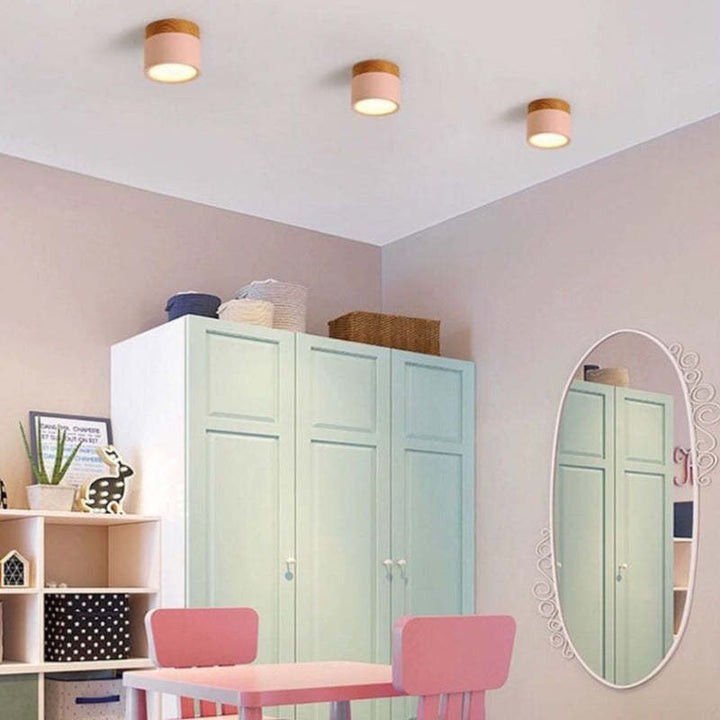 Morandi Style Modern LED Ceiling Lamp - LumiModo | Bowlift