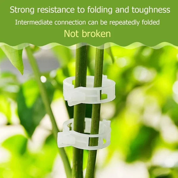 GripKing Clips — Keep your plants strong and discover effortless, healthy growth! | Bowlift