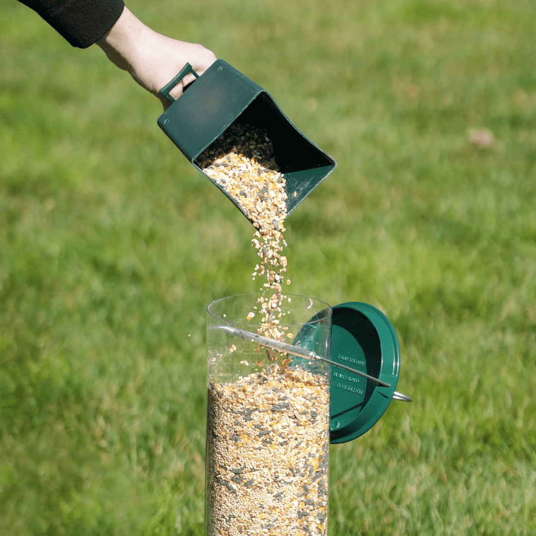 BowLift | FEEDERGUARD – Squirrel-Proof Birdhouse for the Garden