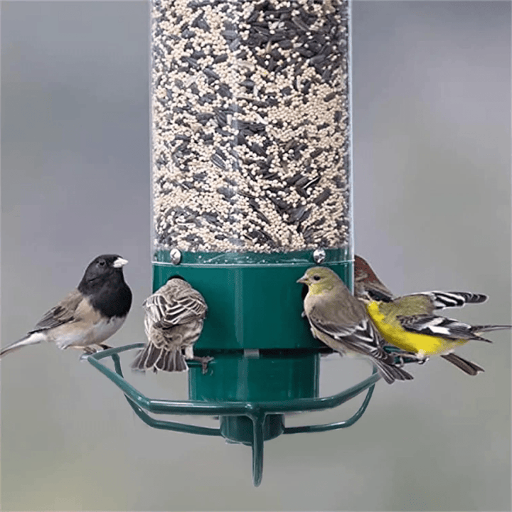 BowLift | FEEDERGUARD – Squirrel-Proof Birdhouse for the Garden