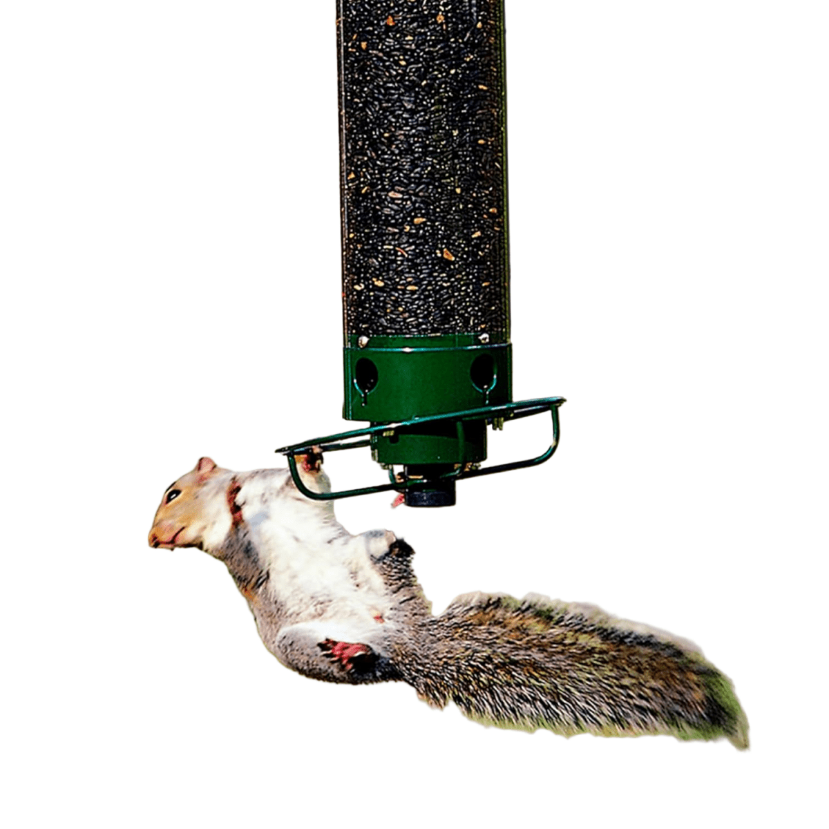 BowLift | FEEDERGUARD – Squirrel-Proof Birdhouse for the Garden