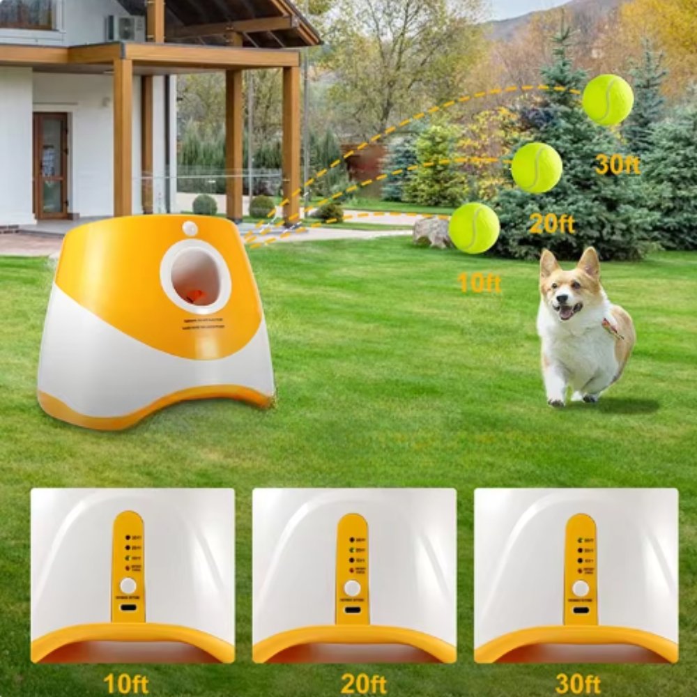 FetchMaster • Dog Ball Launcher - Dog Ball Launcher - BowLift