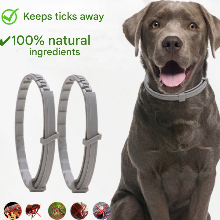 Flea and Tick Collar - FleaGuard Bowlift