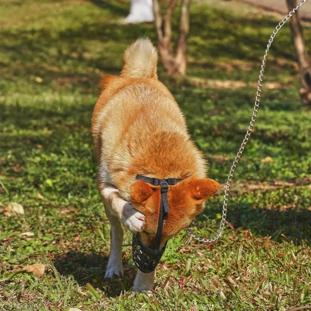 FlexGuard • Basket Dog Muzzle - Dog Muzzle - BowLift