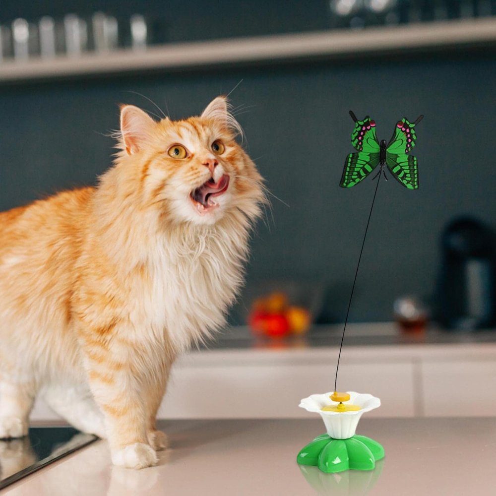 FlyWhirl • Interactive Flying Bird Toy for Cats - Interactive Cat Toy - BowLift