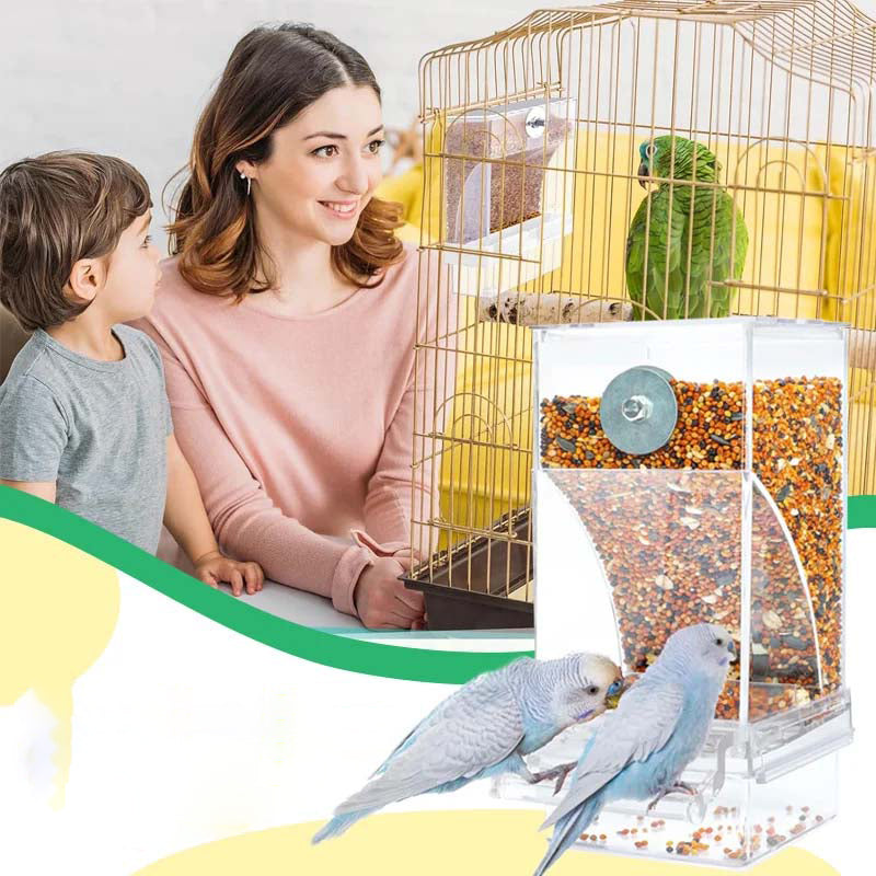Automatic, leak-proof bird feeder | Bowlift