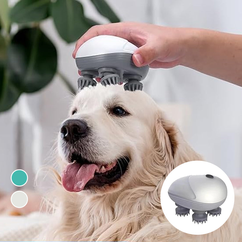 Mini Head Massager, available for pets and people | Bowlift