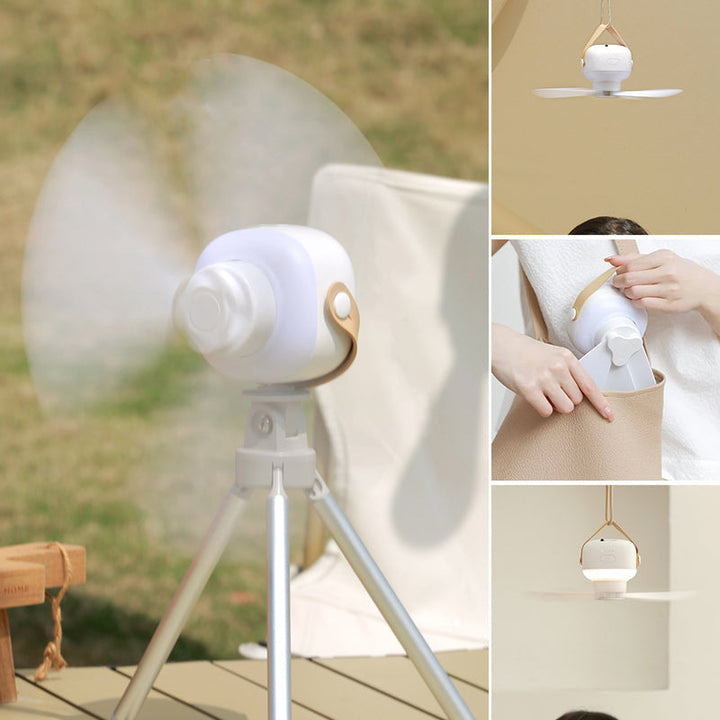 Portable Silent Ceiling Fan | Bowlift