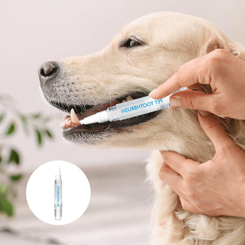 BowLift | New Improved Pet Toothbrush Pen