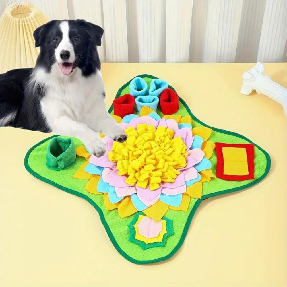 ForageFun• Dog Snuffle Mat - Dog Snuffle Mat - BowLift