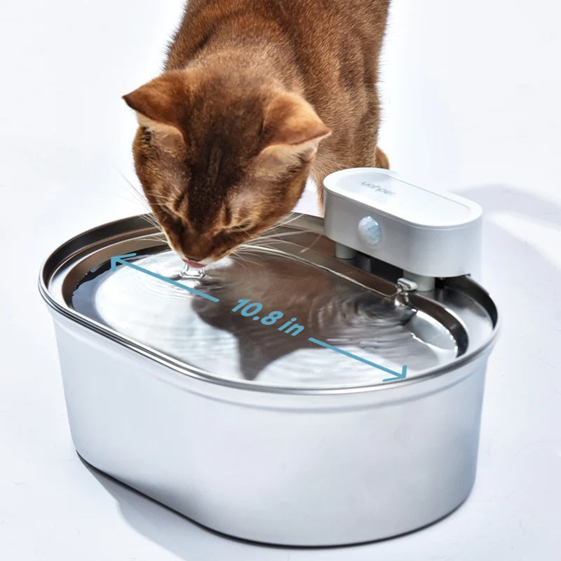 BowLift | Wireless Automatic Pet Water Fountain