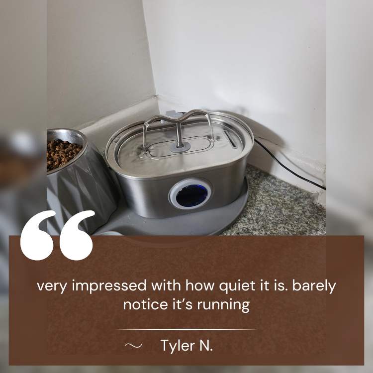 BowLift | Cat Water Fountain | Silent Operation, Stainless Steel & Hygienic Design for Healthy Hydration