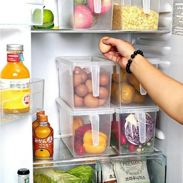 Storage Freezer Box with Handle Bowlift
