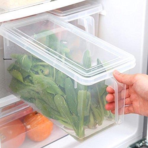 Storage Freezer Box with Handle Bowlift