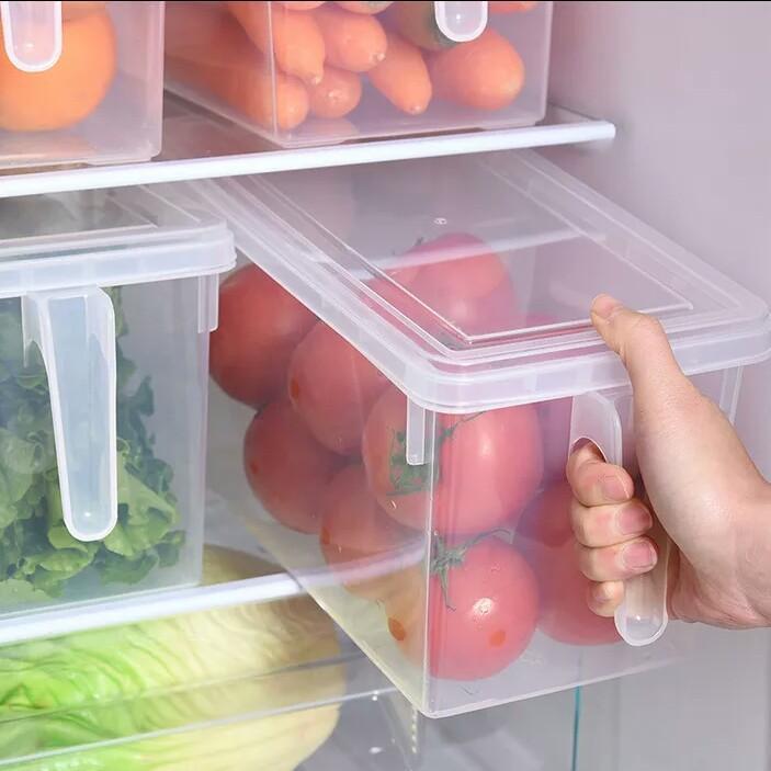 Storage Freezer Box with Handle Bowlift