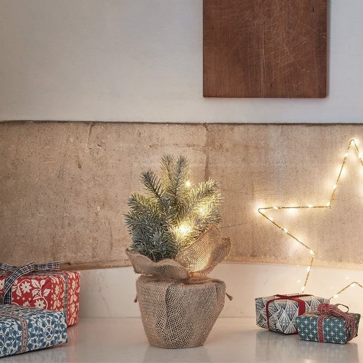 BowLift | Christmas Decorations Mini Frosted Tree Lights