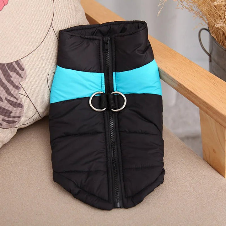BowLift | FrostPaw – Winter Jacket for Dogs with Protection and Comfort