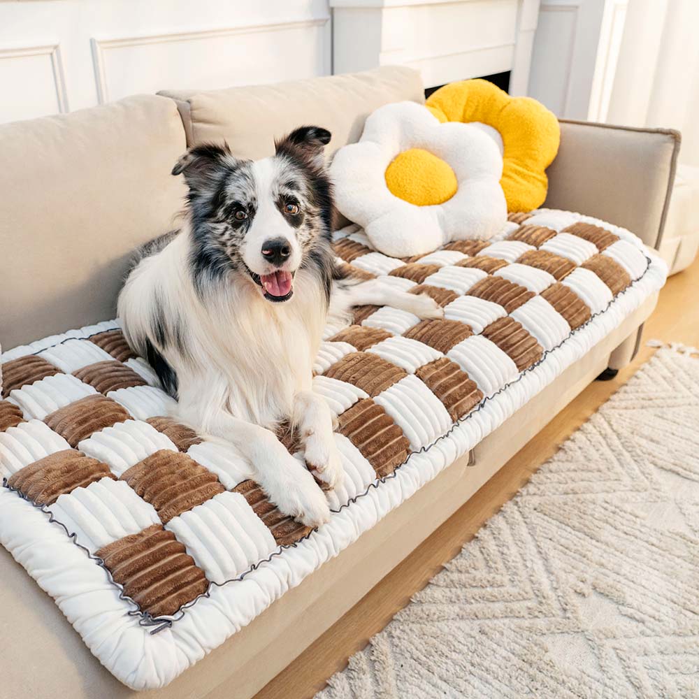 Fuzzy Cream • Colored Dog Sofa Cover - Dog Sofa Cover - BowLift