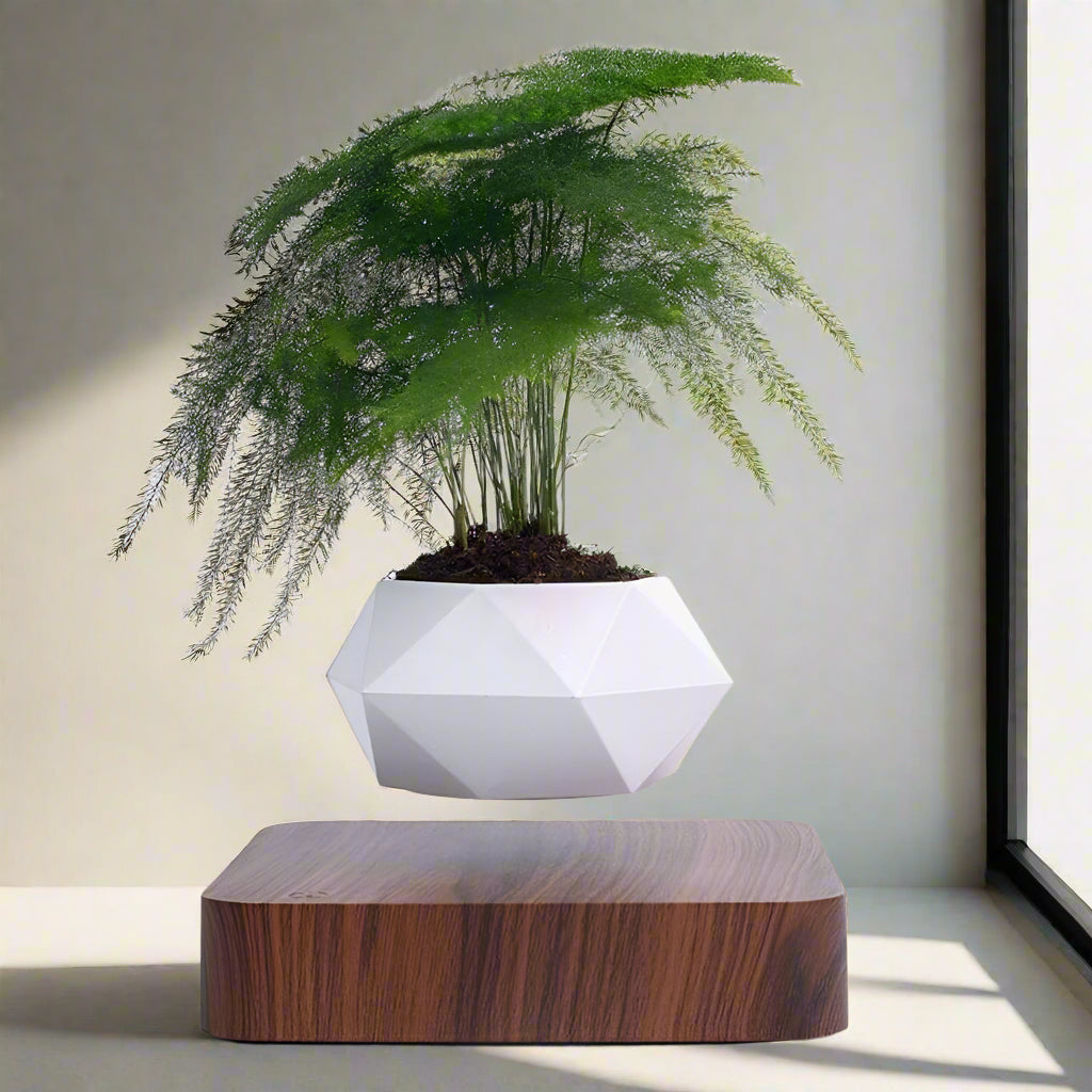 BowLift | Magnetic Levitating Flower Pot with LED Light - Floating Planter for Home Decor & Unique Gifts