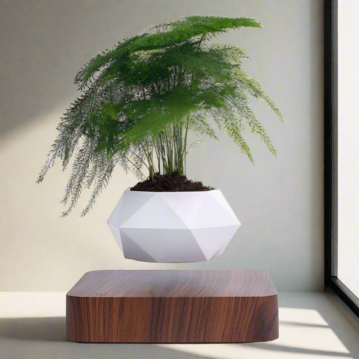 BowLift | Magnetic Levitating Flower Pot with LED Light - Floating Planter for Home Decor & Unique Gifts