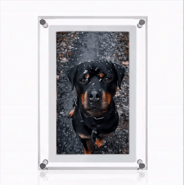 BowLift | Digital Photo Frame - Eternalize your beautiful memories