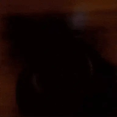 BowLift | Celestara™ | LED Illuminated Precision Magnifier with Adjustable Brightness | Ideal for Reading, Hobbies & Detailed Work