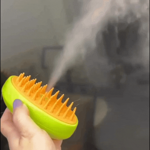 Cat brush with steam function | Bowlift