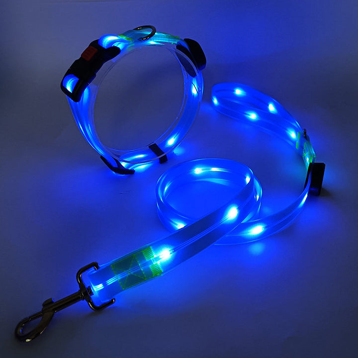 Glowing LED Dog Collar with Leash - NightBright Bowlift